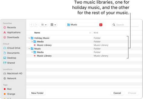 how to reset apple music library and explore the hidden gems within your digital music collection