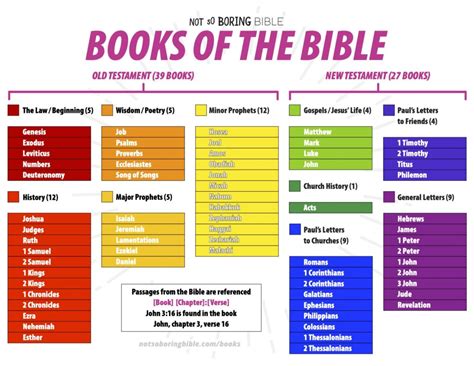 What Books Are Not in the Bible and Why They Matter